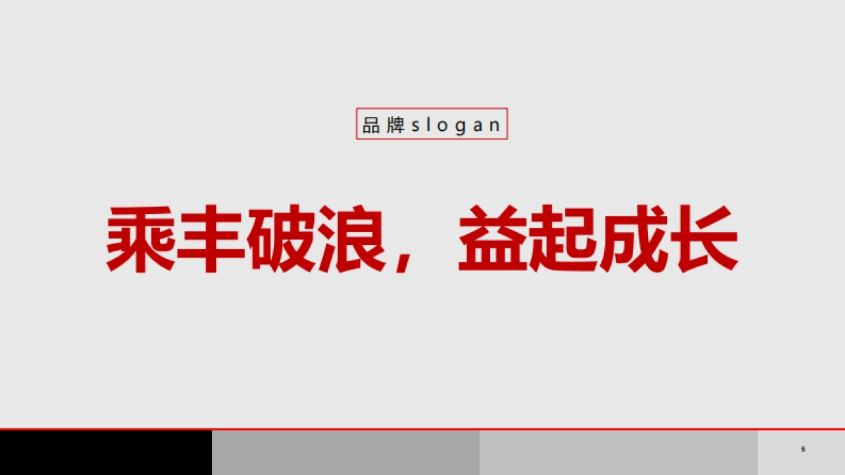 顺丰公益品牌公关年度传播规划_第5页