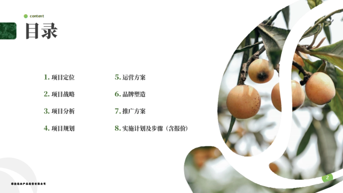 乡村枇杷产业园规划设计方案_第2页