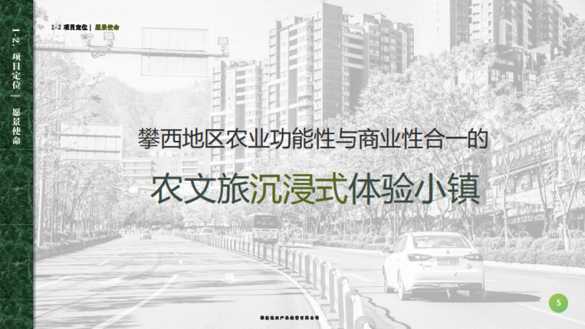 乡村枇杷产业园规划设计方案_第5页