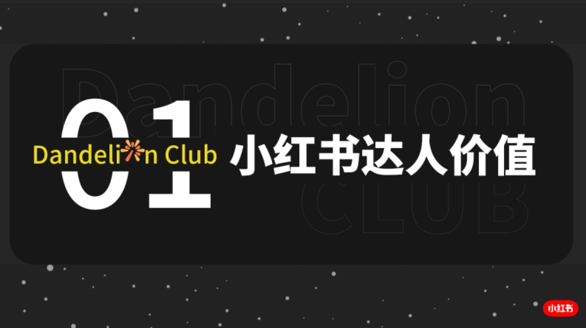 小红书蒲公英：小红书达人营销四步法-放大品牌营销价值_第3页
