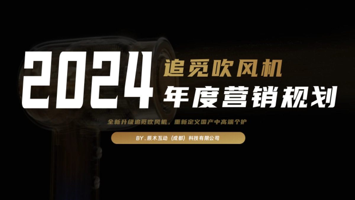 追觅吹风机Y2024年度营销规划_第1页