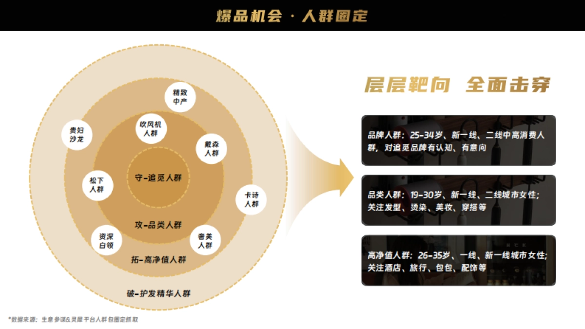 追觅吹风机Y2024年度营销规划_第10页