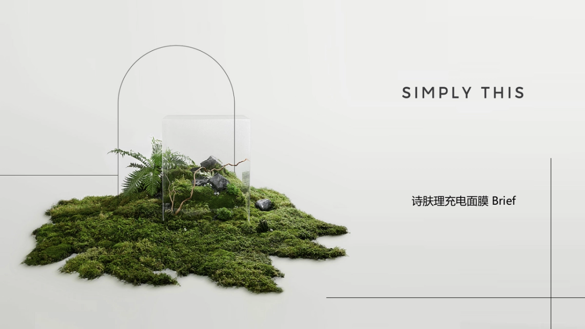 充电面膜brief_第1页