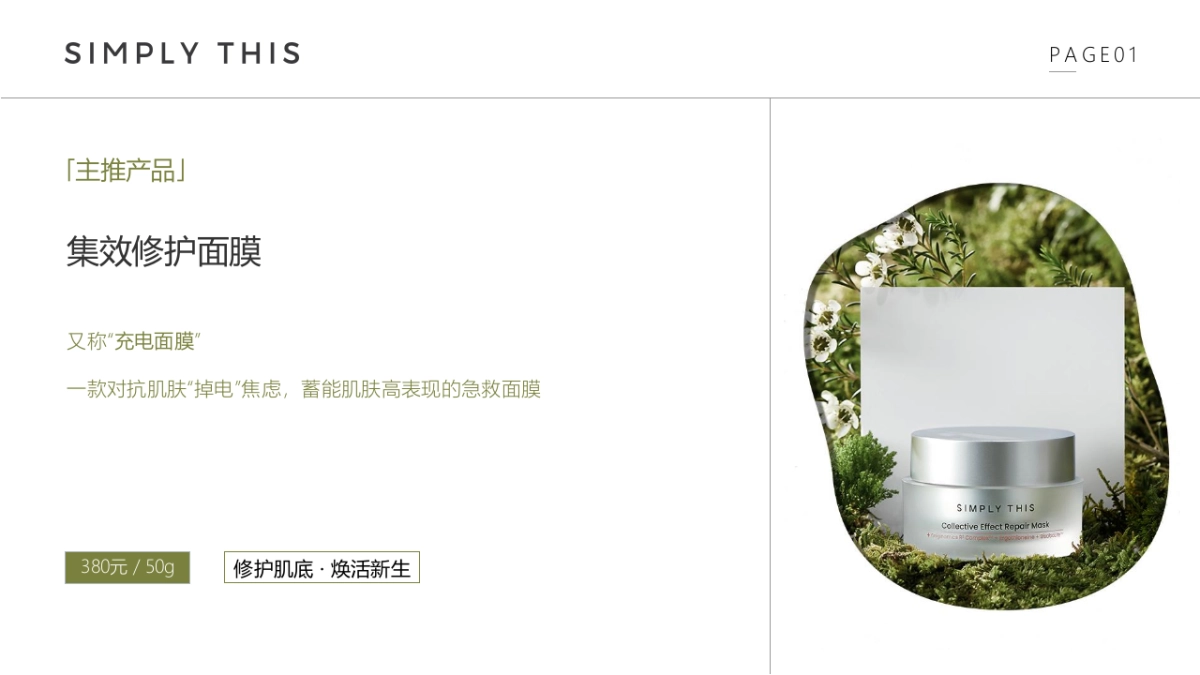 充电面膜brief_第2页