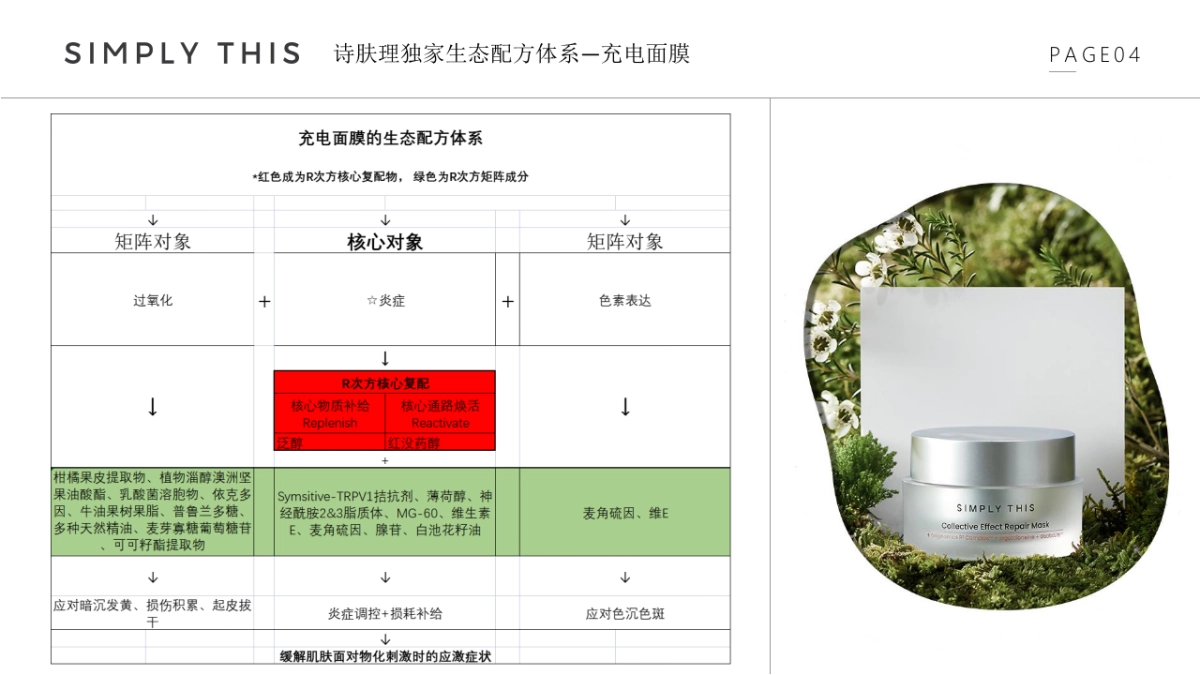 充电面膜brief_第5页