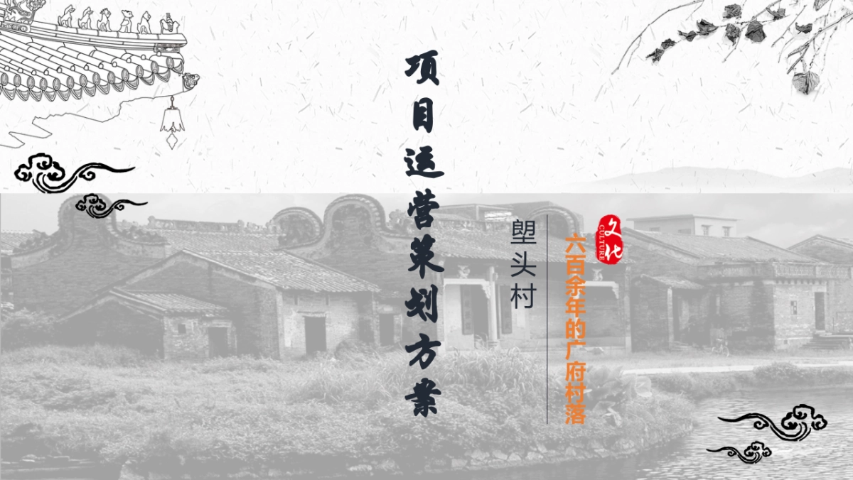 旅游小镇文旅项目定位运营策划方案_第1页