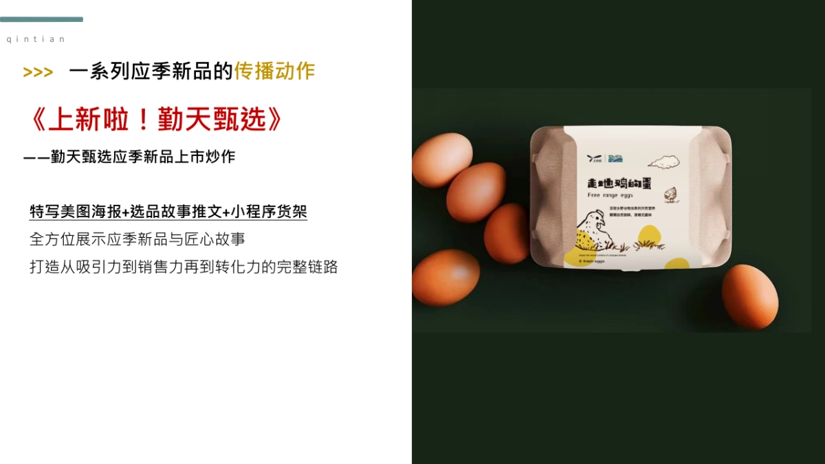 勤天甄选推广包装思考_第5页