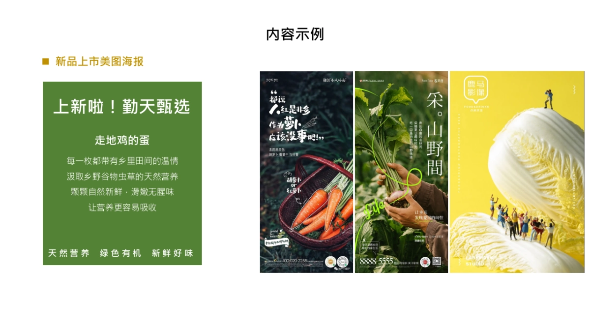 勤天甄选推广包装思考_第6页