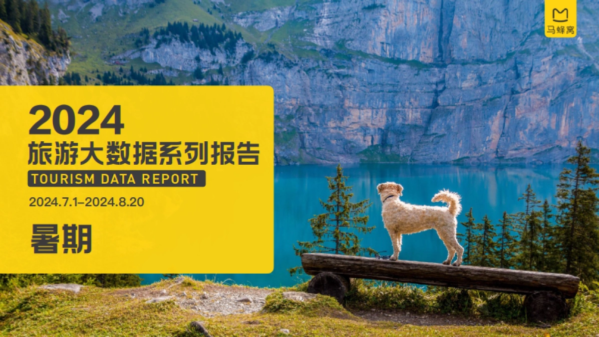 2024年暑期旅游大数据报告_第1页
