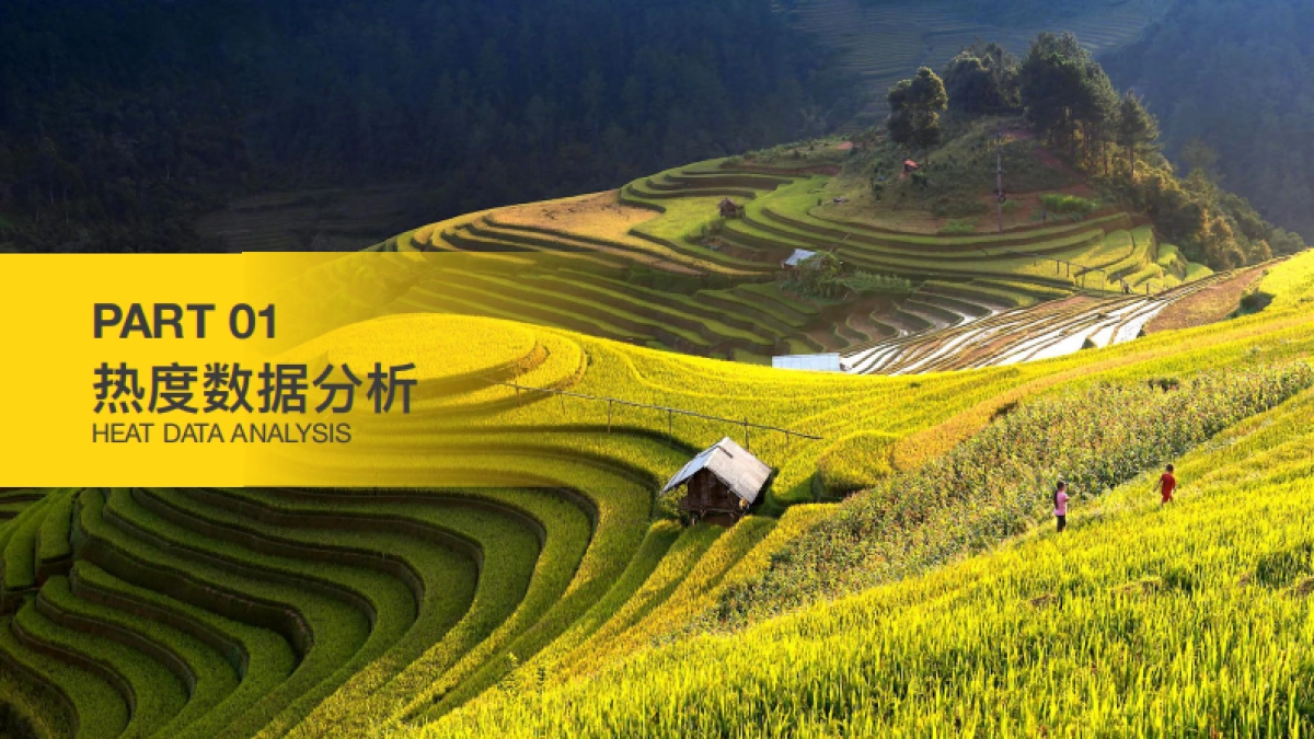 2024年暑期旅游大数据报告_第4页