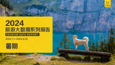 2024年暑期旅游大数据报告