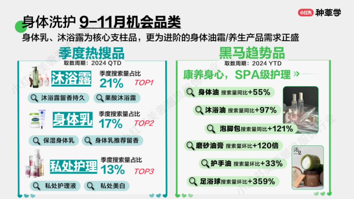 2024小红书双11种草学习季-精享生活：个护家清双11营销解码全指南_第10页