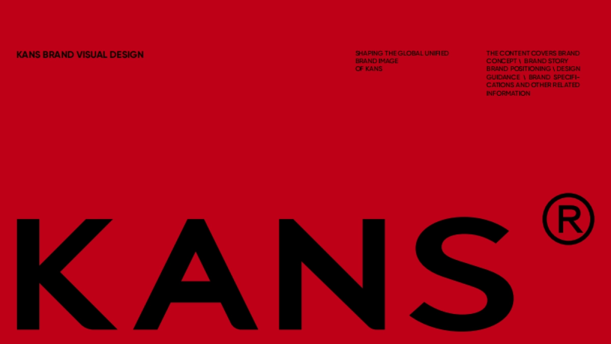 KANS韩束VI手册_第1页