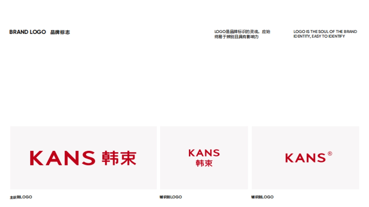 KANS韩束VI手册_第10页