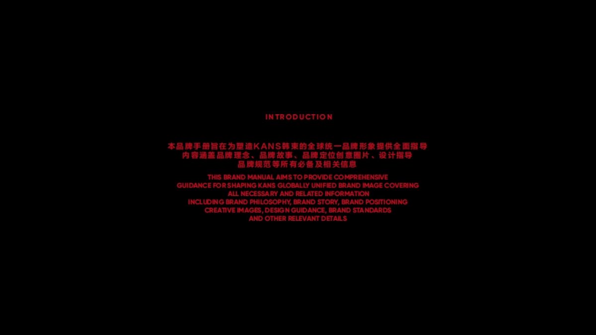 KANS韩束VI手册_第2页