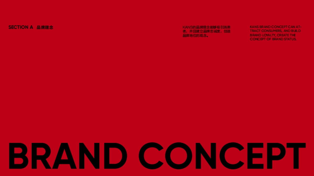 KANS韩束VI手册_第4页