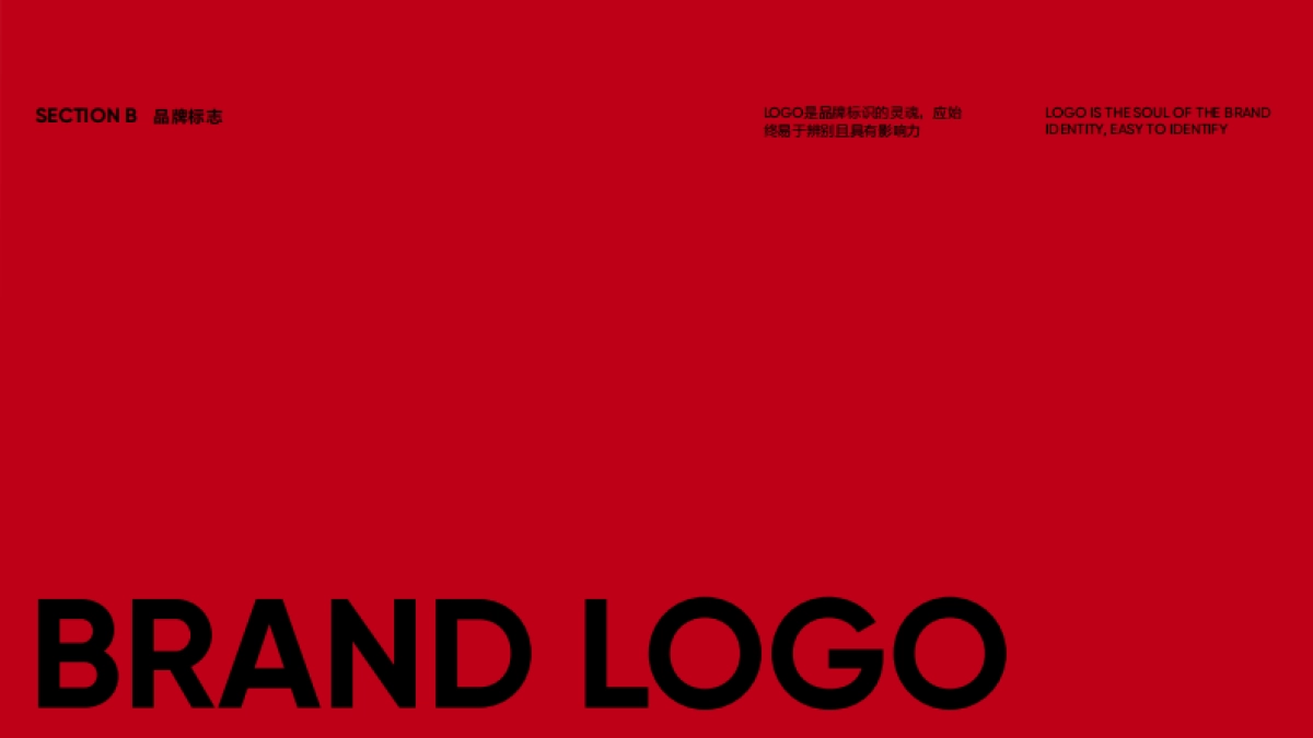 KANS韩束VI手册_第9页