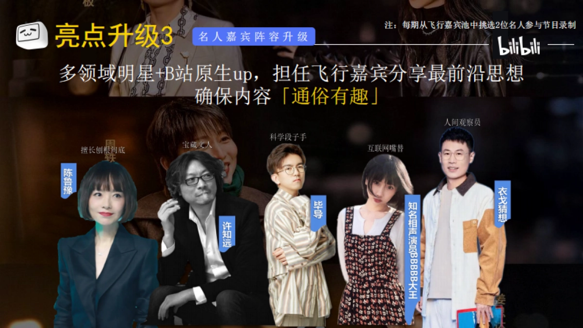 哔哩哔哩《确实该聊聊 》年末特辑_第10页