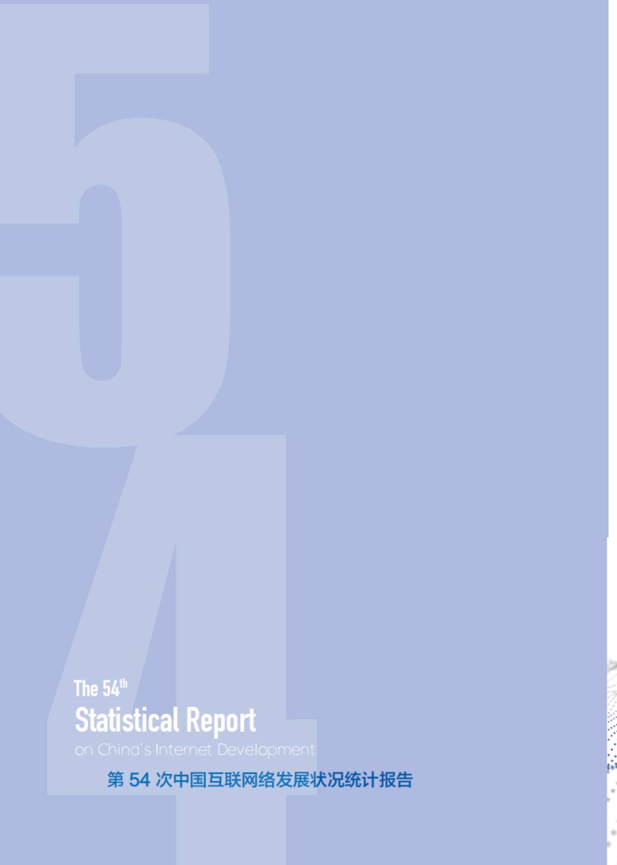第54次《中国互联网络发展状况统计报告》发布_第8页