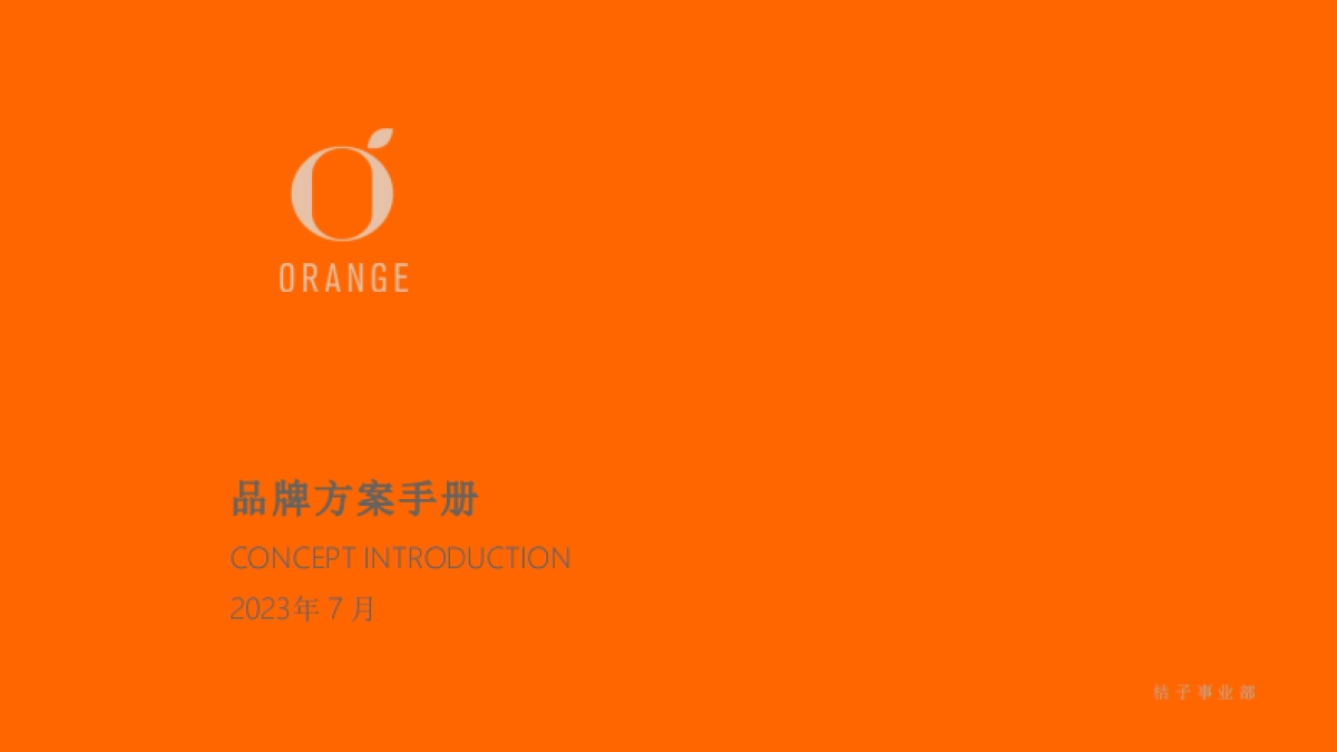 桔子酒店品牌手册_第1页