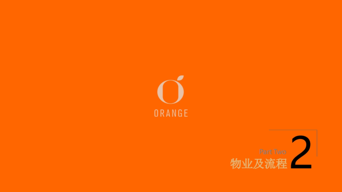 桔子酒店品牌手册_第10页