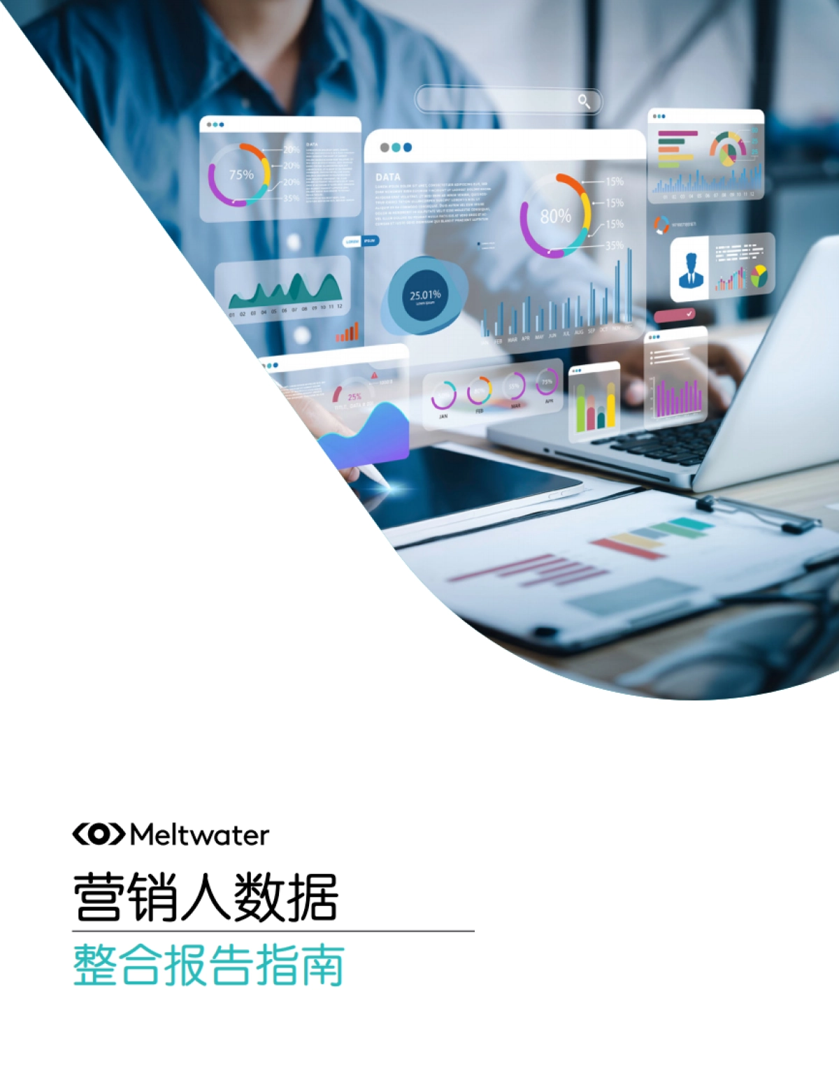 融文：营销人数据整合报告指南_第1页