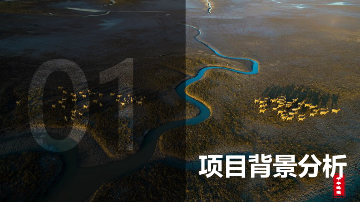 盐城·城市文旅新春营销方案_第3页