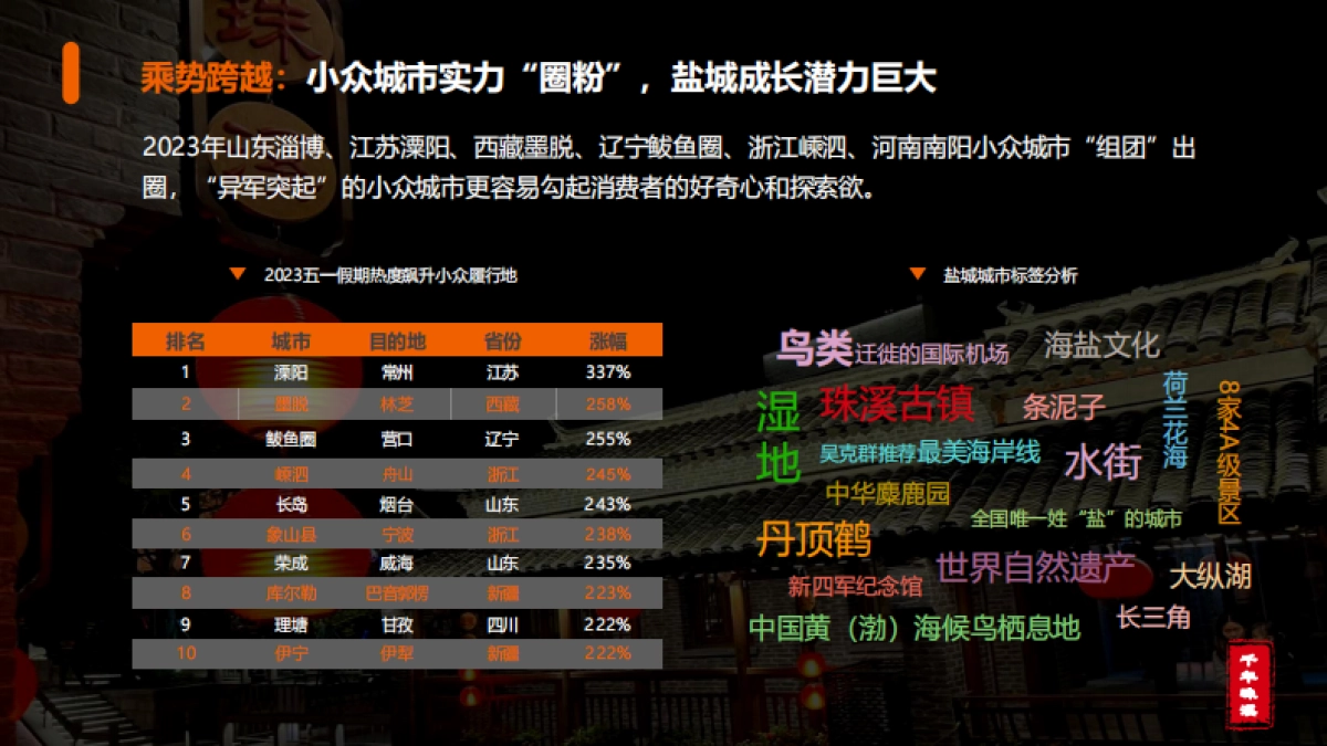 盐城·城市文旅新春营销方案_第7页