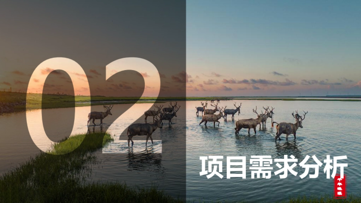 盐城·城市文旅新春营销方案_第8页