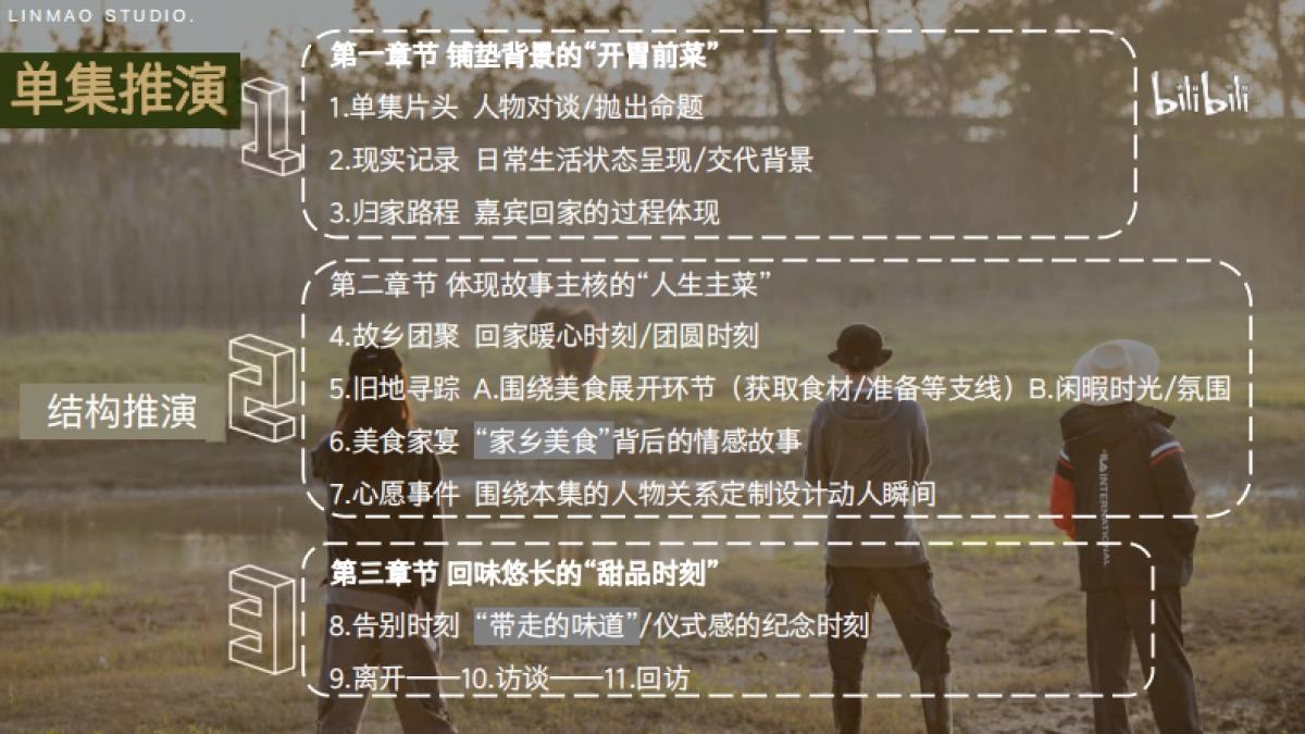 bilibili《去你家吃饭好吗3》项目招商方案_第10页