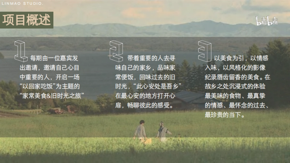 bilibili《去你家吃饭好吗3》项目招商方案_第3页