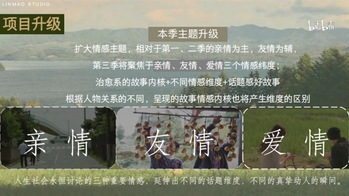 bilibili《去你家吃饭好吗3》项目招商方案_第6页