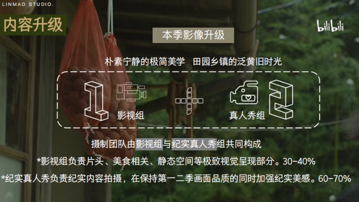 bilibili《去你家吃饭好吗3》项目招商方案_第8页