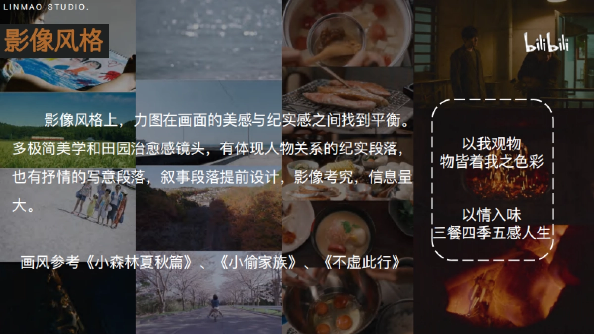 bilibili《去你家吃饭好吗3》项目招商方案_第9页