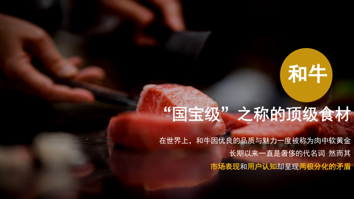 轻奢烤肉餐饮品牌策划案_第8页