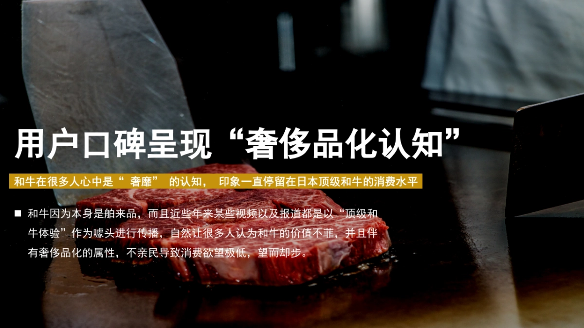 轻奢烤肉餐饮品牌策划案_第9页