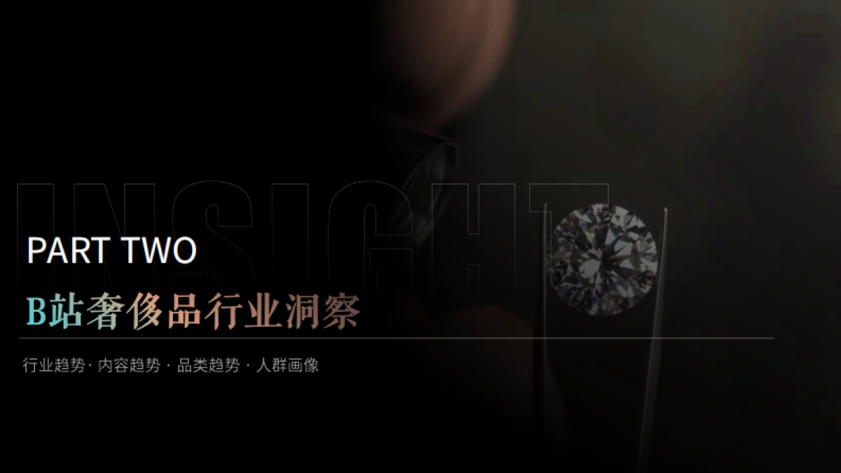 B站奢侈品行业通案_第10页