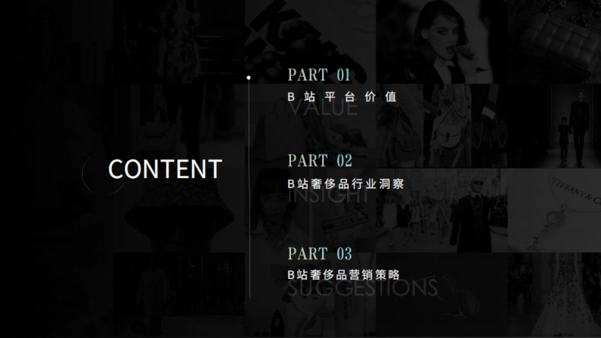 B站奢侈品行业通案_第2页