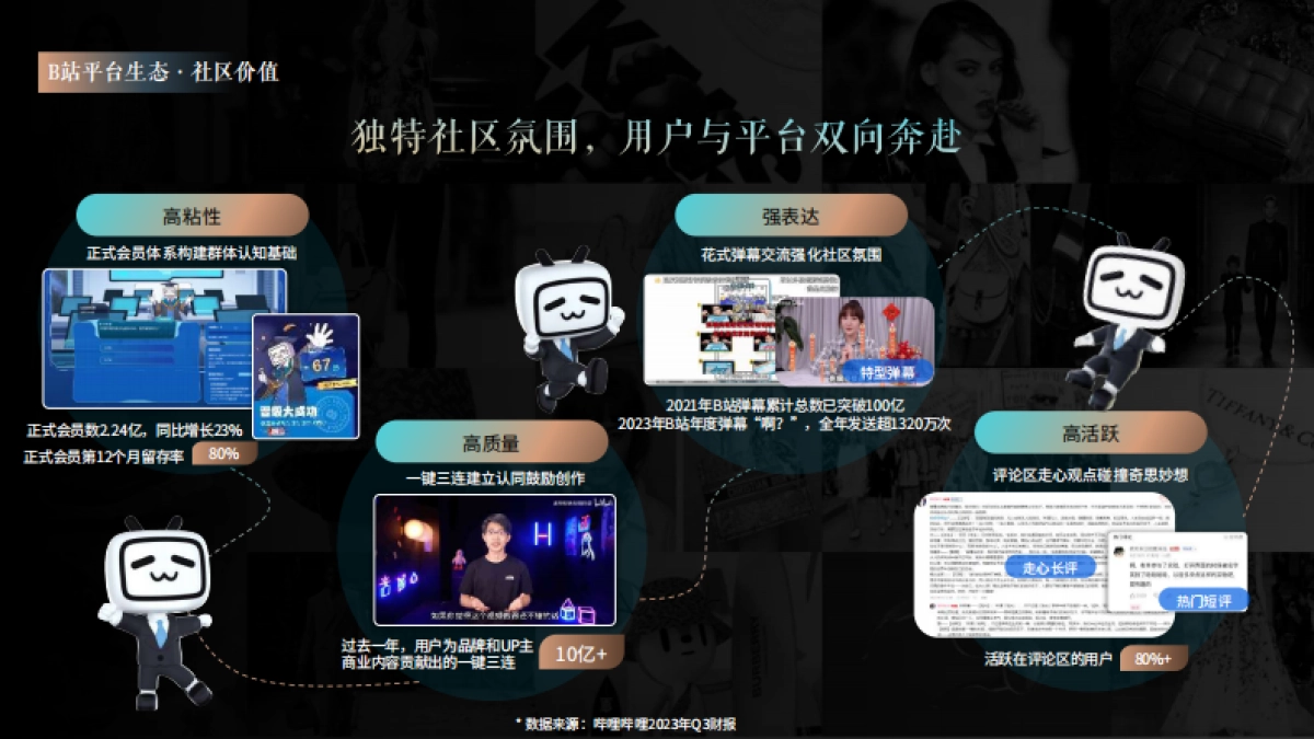 B站奢侈品行业通案_第9页