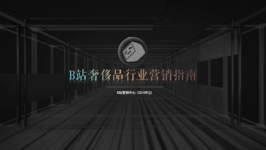 B站奢侈品行业通案