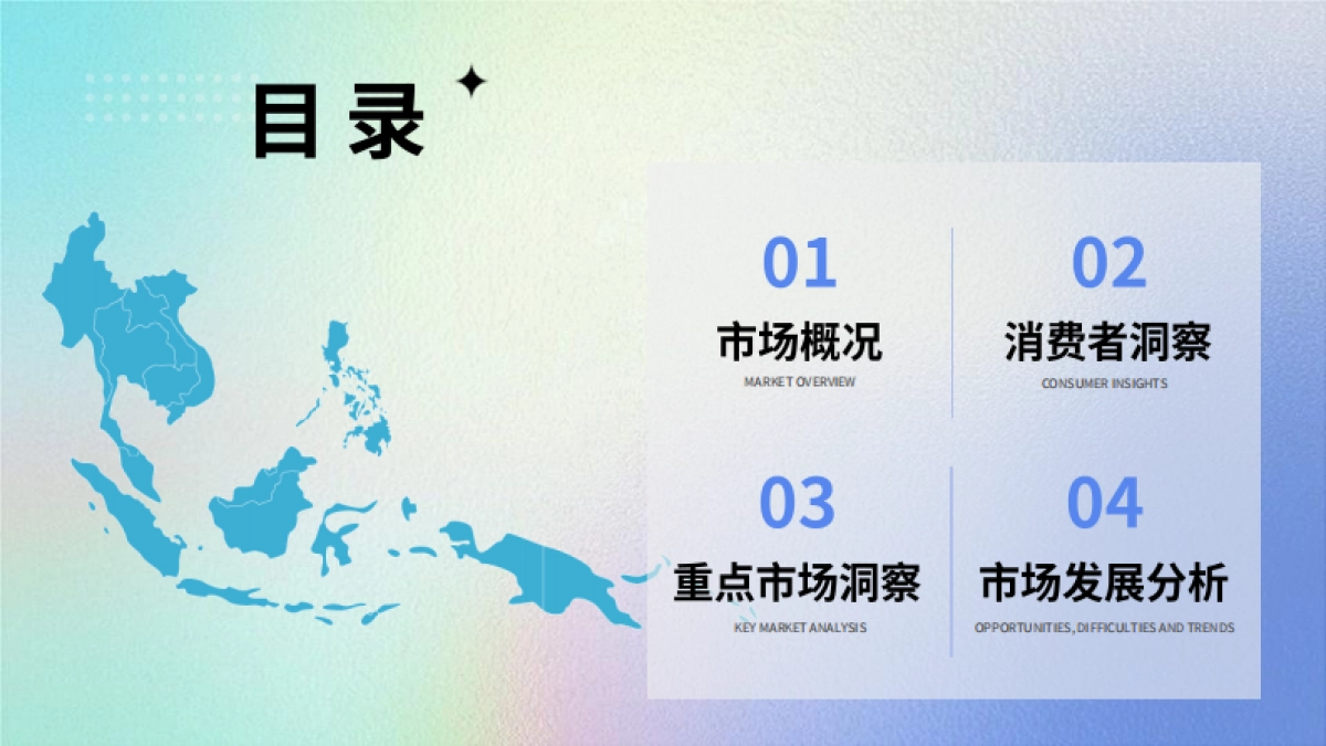 大数跨境：2024东南亚电商市场洞察报告_第3页