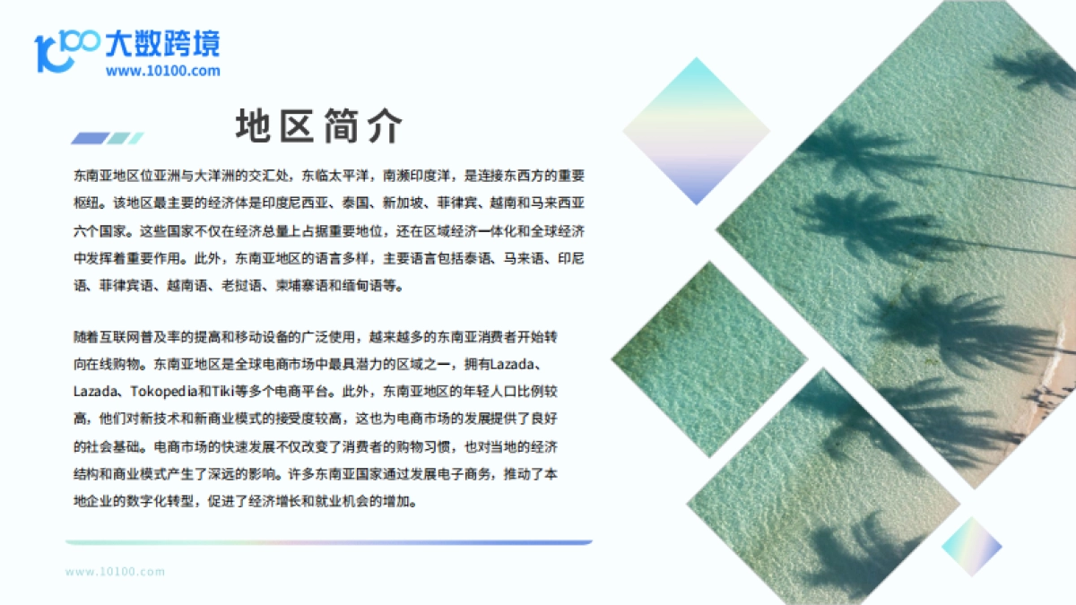 大数跨境：2024东南亚电商市场洞察报告_第5页