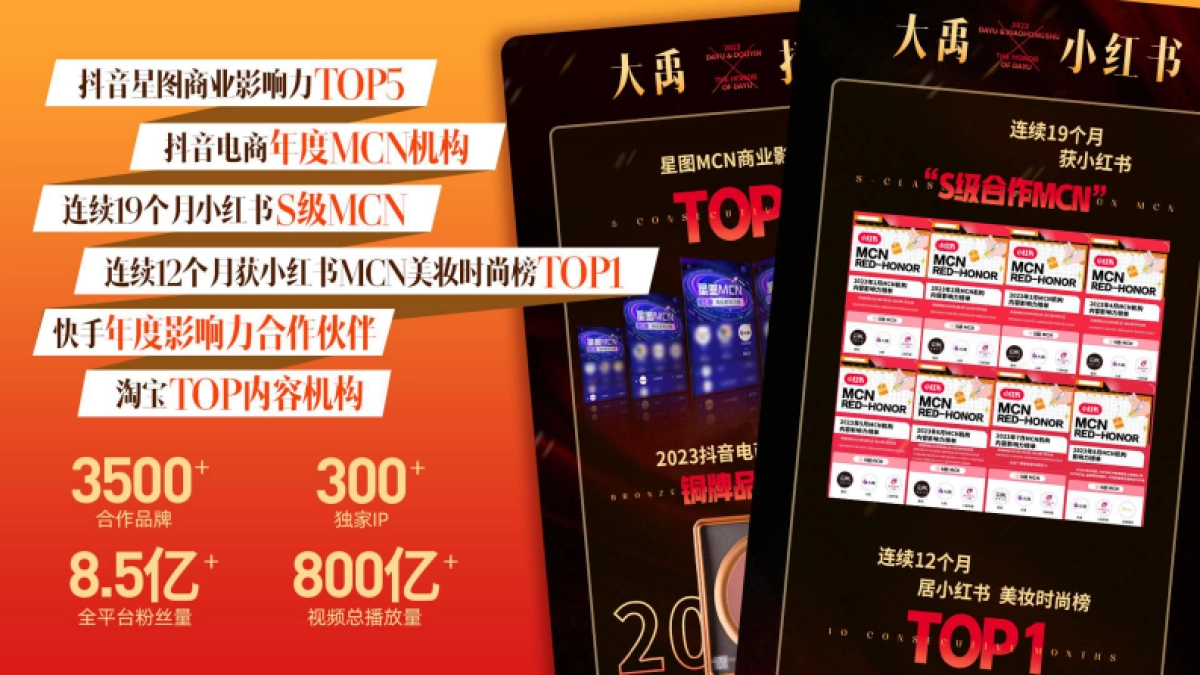 大禹MCN介绍_第2页