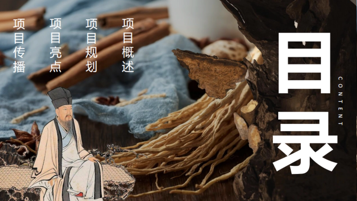 2024国药集团x广州日报《老人报》合作方案【国养之道  药食同光】_第2页