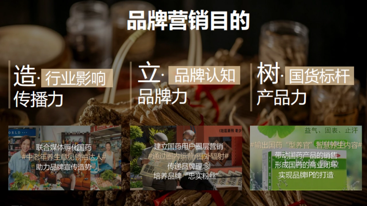 2024国药集团x广州日报《老人报》合作方案【国养之道  药食同光】_第9页