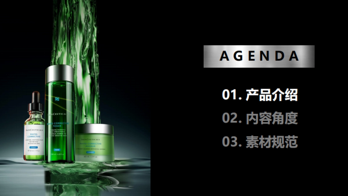 2024修丽可院线美容色修瀑布Q3 Briefing Book_第2页