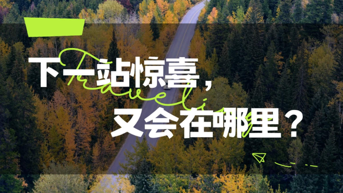 bilibili宝藏旅行团招商方案_第6页