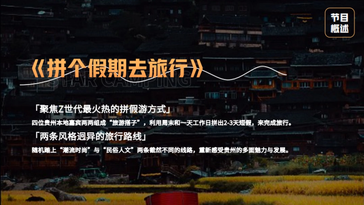 贵州文旅项目-《拼个假期去旅行》综艺策划方案_第10页