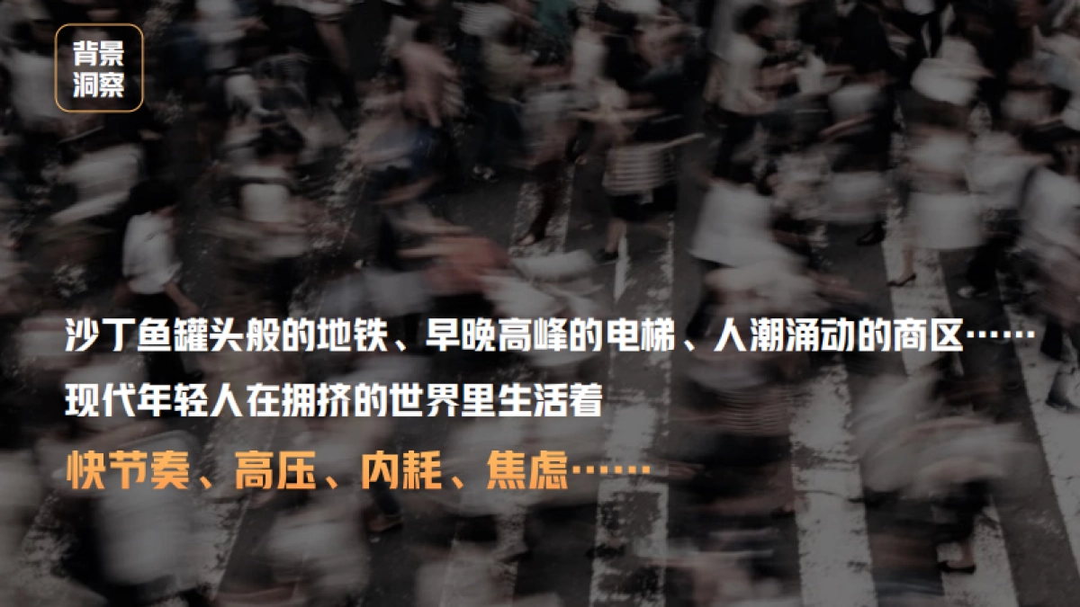 贵州文旅项目-《拼个假期去旅行》综艺策划方案_第2页