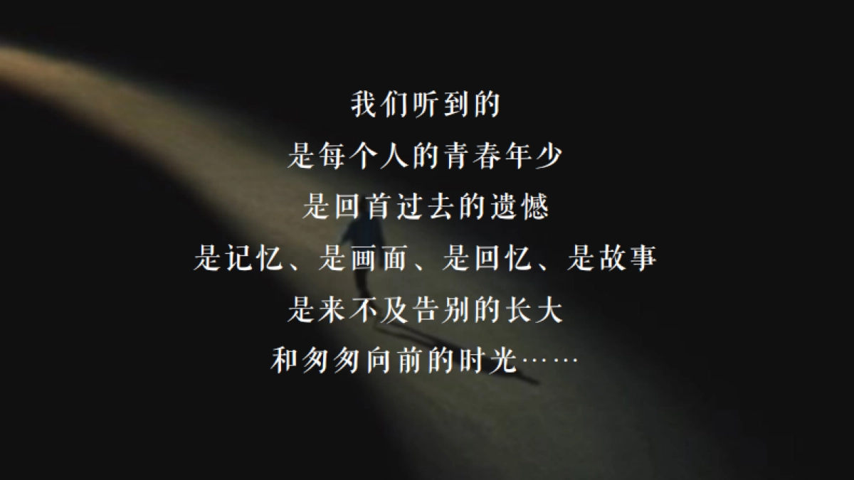 网易云音乐-云村村晚晚会活动策划_第4页